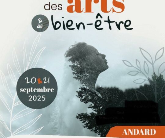salon des arts et du bien etre affiche
